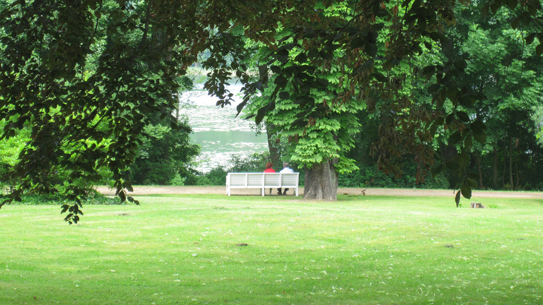 Weiter Blick vom Park auf den See - Immanuel Klinik Märkische Schweiz in Buckow