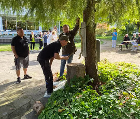 Mitarbeitende beim Hammerschlagen an einem Baum im Park der Immanuel Klinik Märkische Schweiz